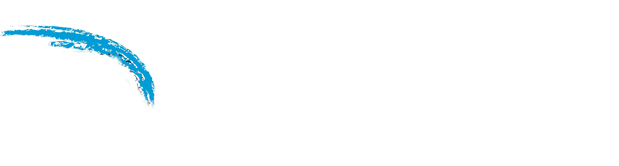 DMC Logo